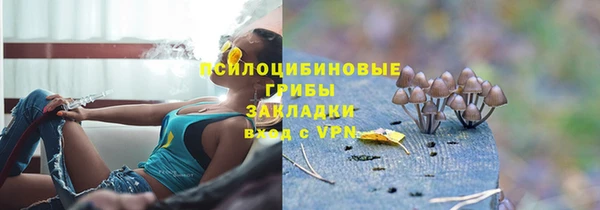 COCAINE Покачи