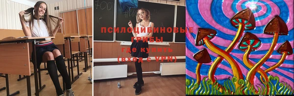COCAINE Покачи